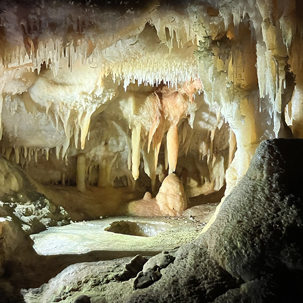 Research image 34