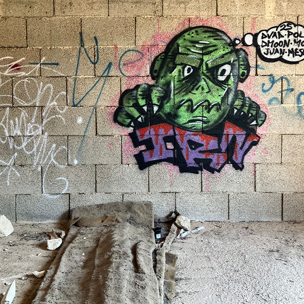 Research image 29