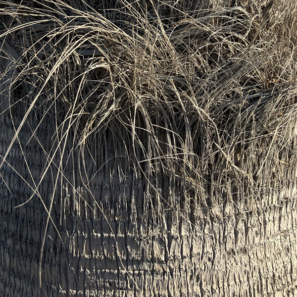 Research image 23